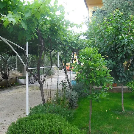 Odette Zadar Exterior photo